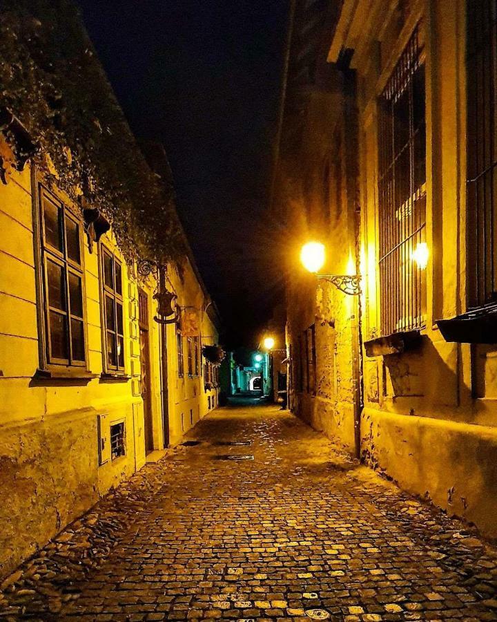 Old Town Vintage Apartment Sturova Caşonia Exterior foto